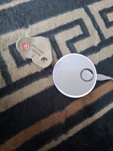 Owlet dream smart - dream,