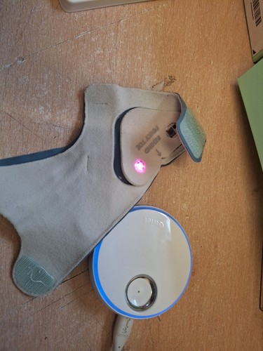 Owlet dream smart sock - dream,